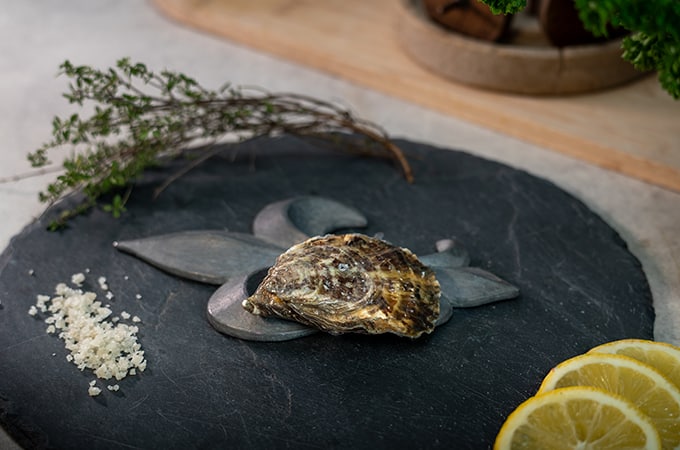 Ostra - Fine de Normandie