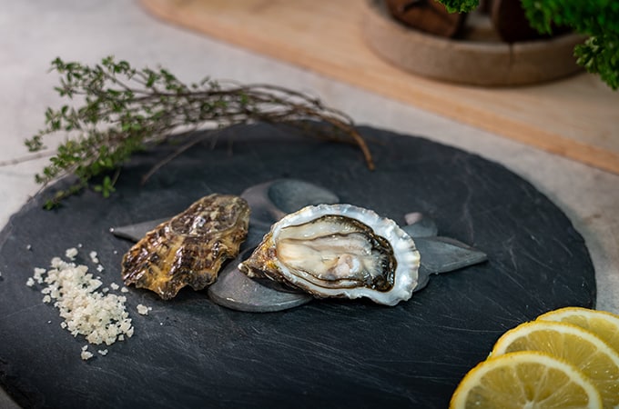 Ostra - Fine de Normandie