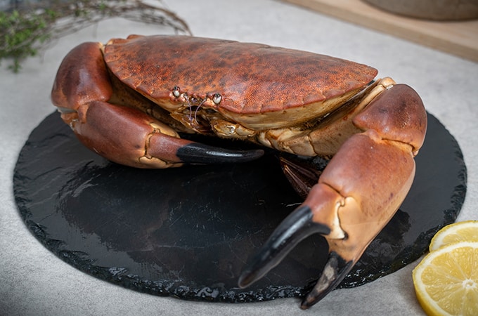 Photo: presentation of crab
