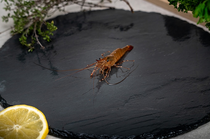 Photo: presentation of an imperial prawn
