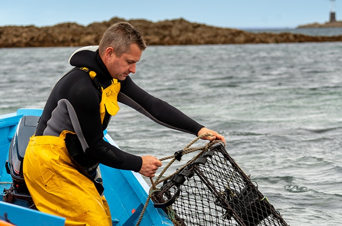 Fisherman at sea pulling up a fishing trap