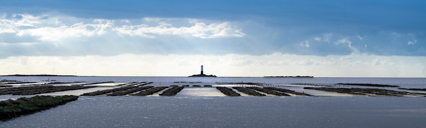 Maritime domain of Navarre