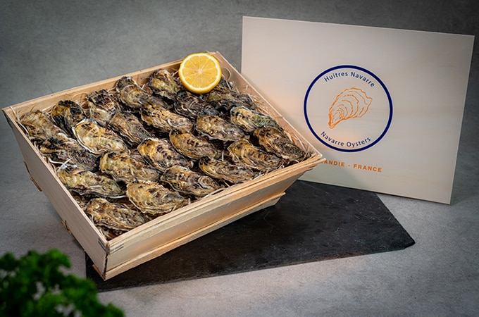 Ostra - Fine de Normandie