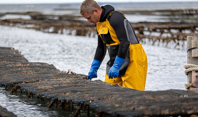 Fisherman in front of fish traps