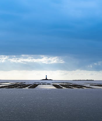 Maritime domain Navarre