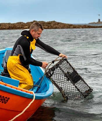 Un pescador saca una nasas