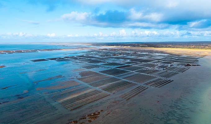 Aerial photograph of the Navarre estate